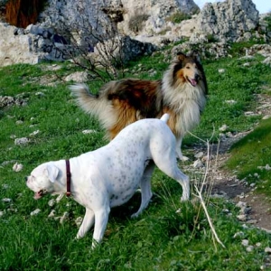 Avra and Riko
