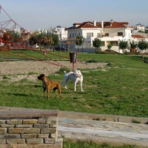 Avra and Gilda