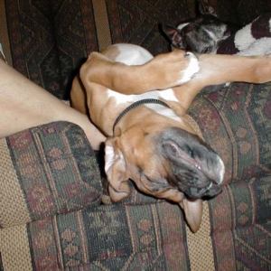 ZZZZZZZZ