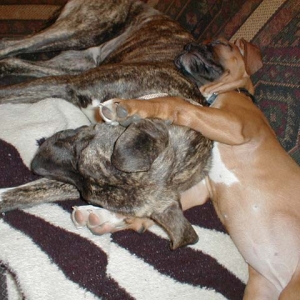 Nice pillow!