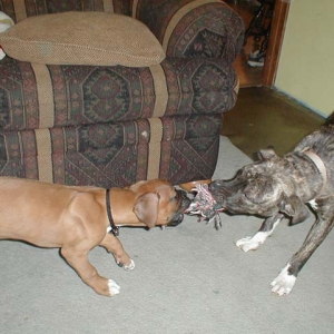 My toy!