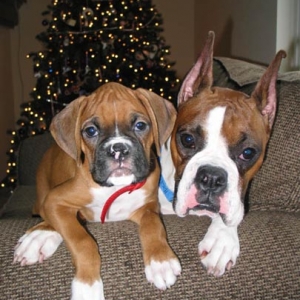Annie & AJ -- Christmas 2003