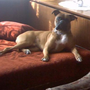 His bed