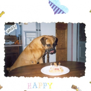 Samson's 8'th b-day!