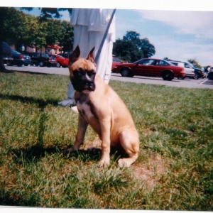 Moe at 14 weeks old