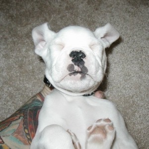outcold