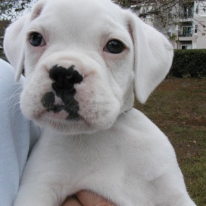 What a face!