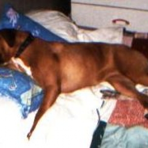 Snoozing