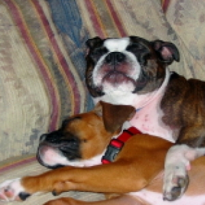 Sleeping beauties