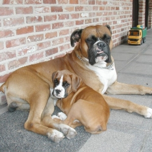 Moya & Raiko