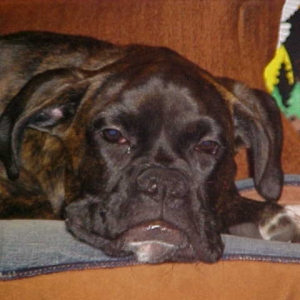 Tired Baby