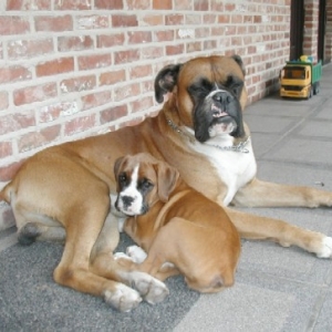 Raiko en Moya