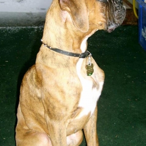 Tyson at 18 weeks