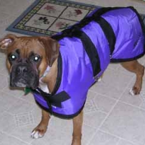 Nessa in her new coat