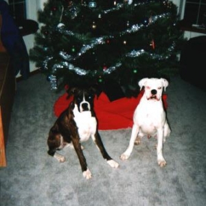 Merry Christmas