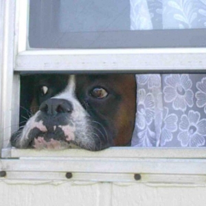 Mom, I'm in here.