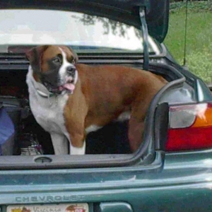 I'm ready to go!