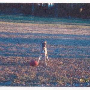 Mohinni lining up at the ball