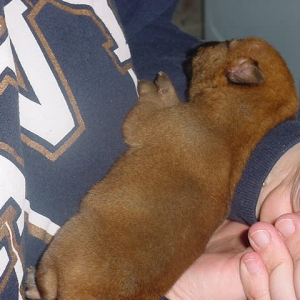 Diego 11 days old