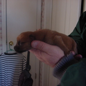 Being held by "Papa" for the 1st time