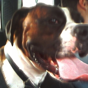 big mouth
