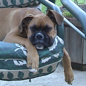 jonas asleep again