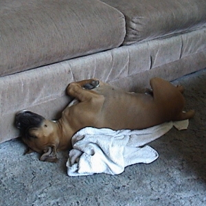 sleepin again...............weird