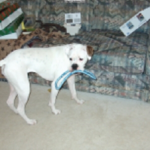 Christmas 2003