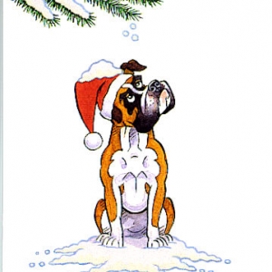 christmas card