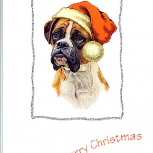 xmas card 2