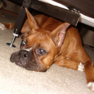 I still fit!