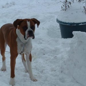 What Is all This Cold Stuff??