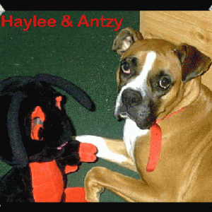 Haylee with her Plush Antzy!