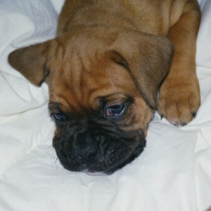 My beautiful baby