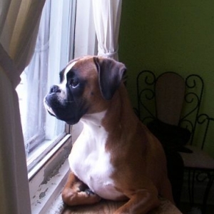 My beautiful baby!