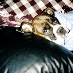 I was sleeping!