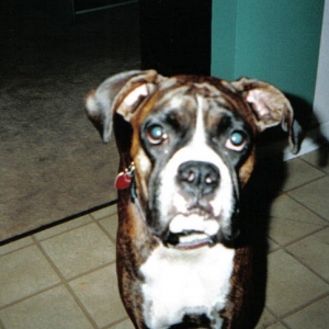 You talkin to me?