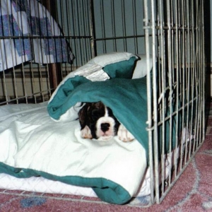 All tired out!