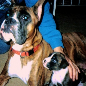Angel & Nutmeg