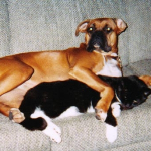 Miss Sammy & her kitty Dobson