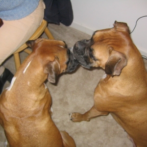 Kaylie & Maynard