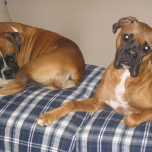 Kaylie & Maynard