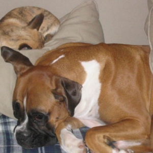 Kaylie & Layla