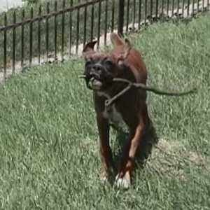 I gots it! I gots it!