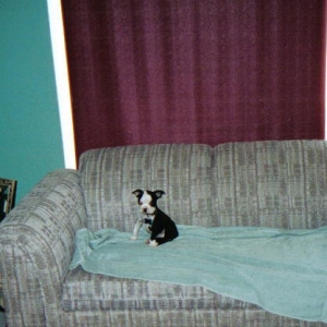 Couch Potato