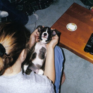 A favourite picture