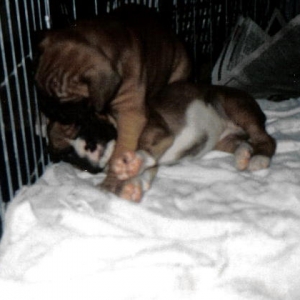 Wake up sleepyhead!
