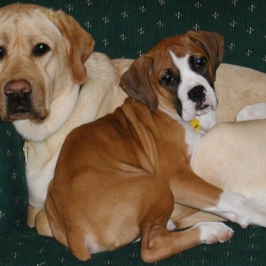 Claire and Elliot snuggling