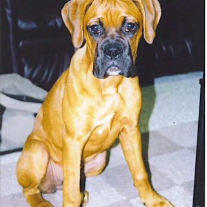 Jocelyn sitting pretty