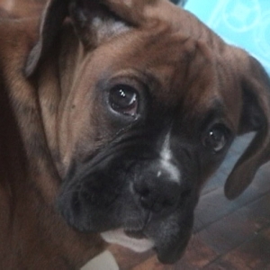 Can't resist this face!!